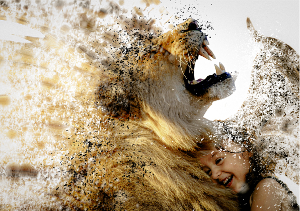 La désintégration animal et humain 